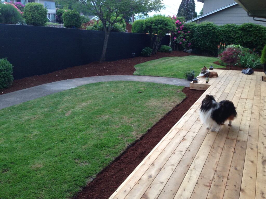 Dogs standing and resting on a backyard's wooden deck